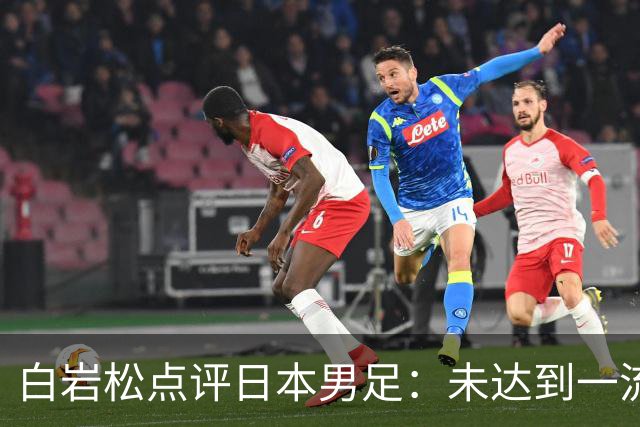 白岩松点评日本男足：未达到一流强队标准，仍需克服对荷兰的恐惧